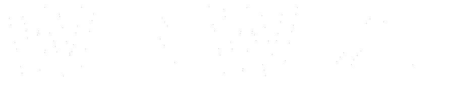 WinWize